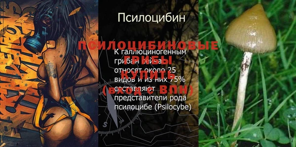 гашишное масло Карпинск