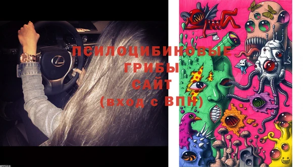 герыч Касимов