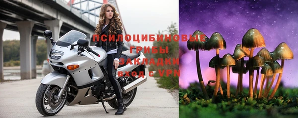 амф Карталы