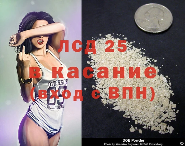 spice Инсар