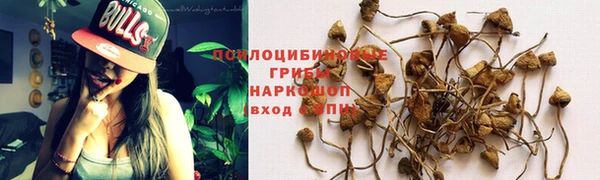 скорость Каменногорск