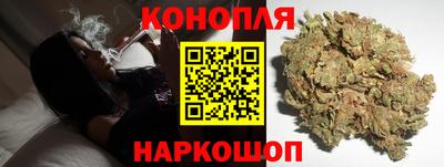 прущие грибы Камышлов