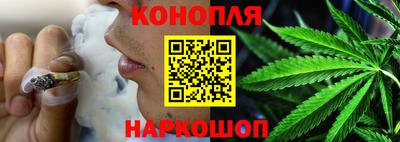 прущие грибы Камышлов